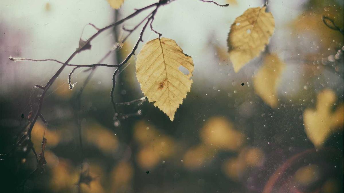 中国主要煤矿分布区有哪些?