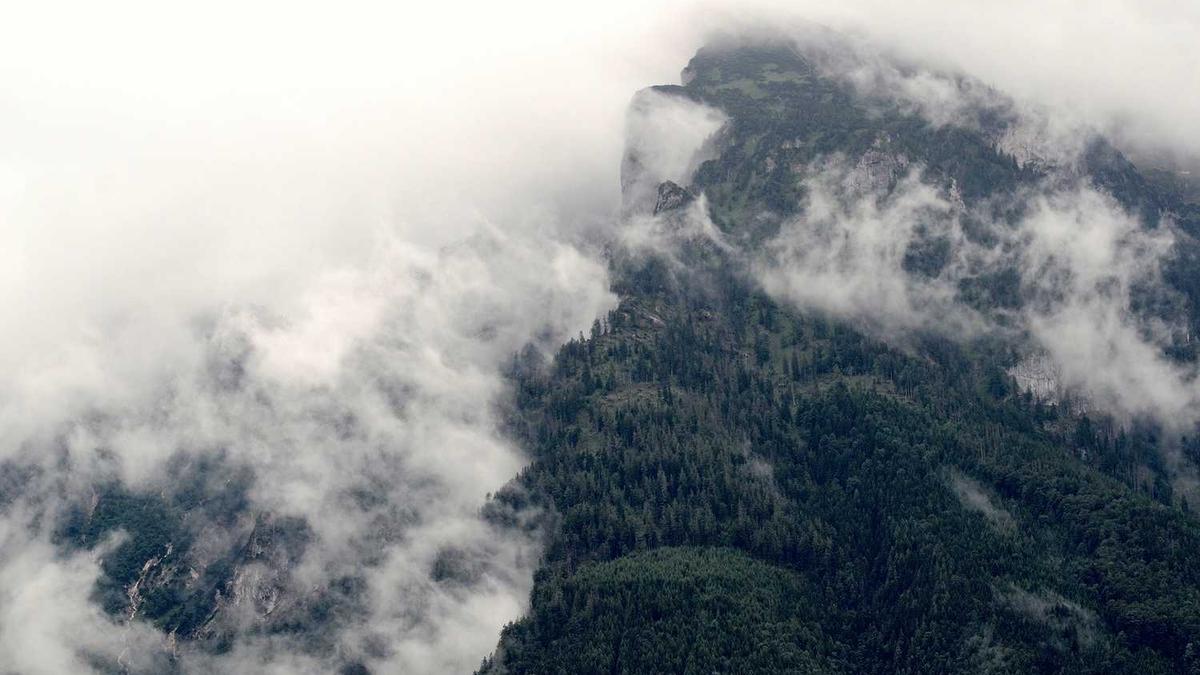 张家口的夏天最高气温是多少?夜间需要棉被吗?是没有蚊子与苍蝇吗?_百 ...