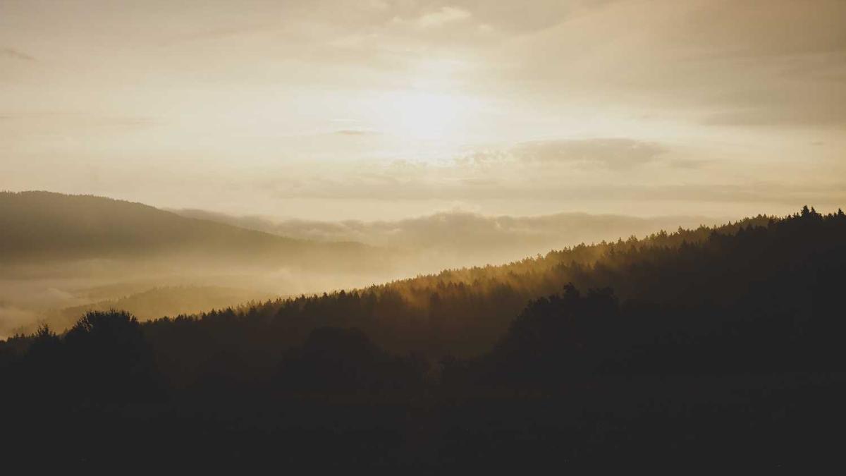 郑智化为何道歉