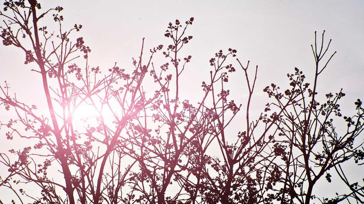 北海一日旅游攻略必去景点