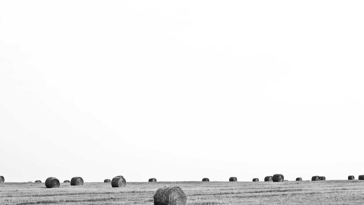 潮州的气候特点是什么?