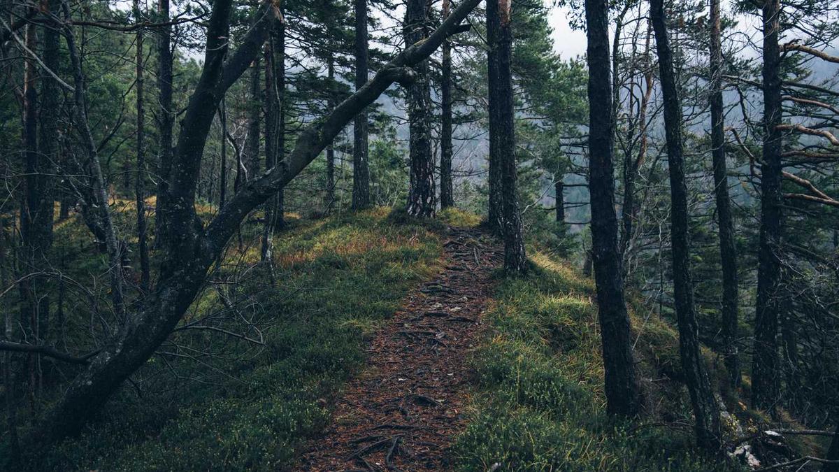 广东湛江现在热不热,穿什么衣服