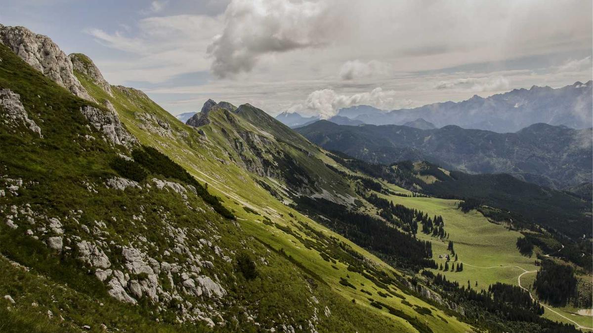 写给学校感谢信