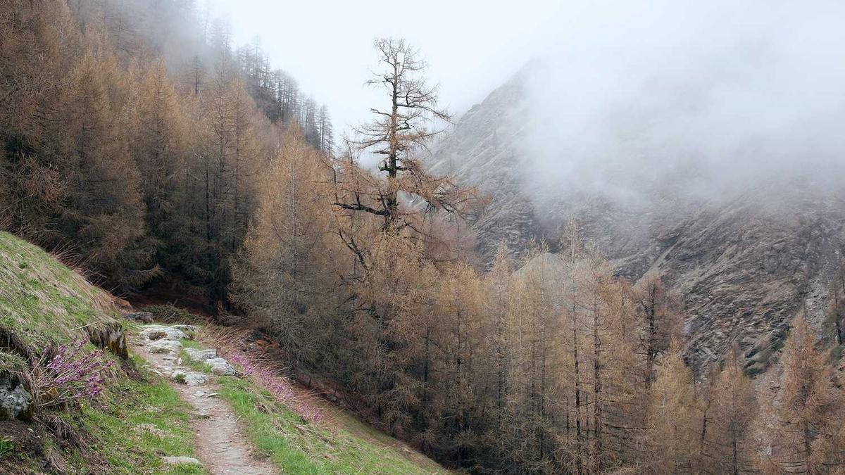 振动按摩器按肚子能减肚子吗?