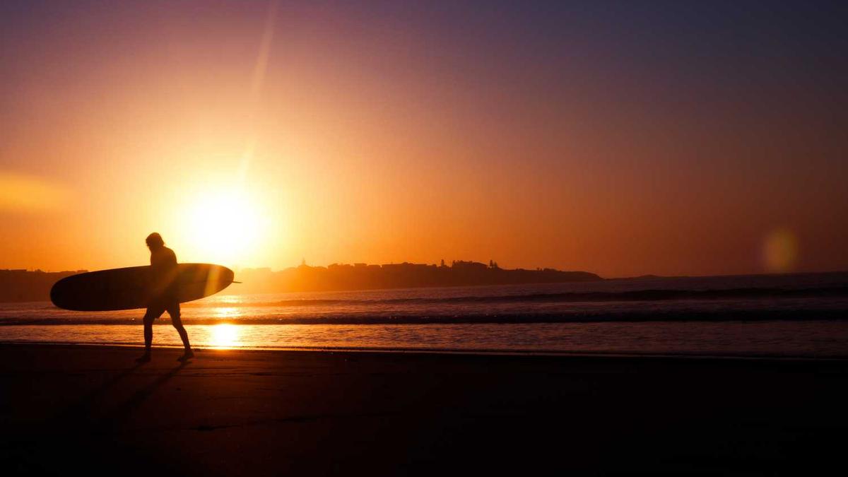 初二新闻作文400字范文