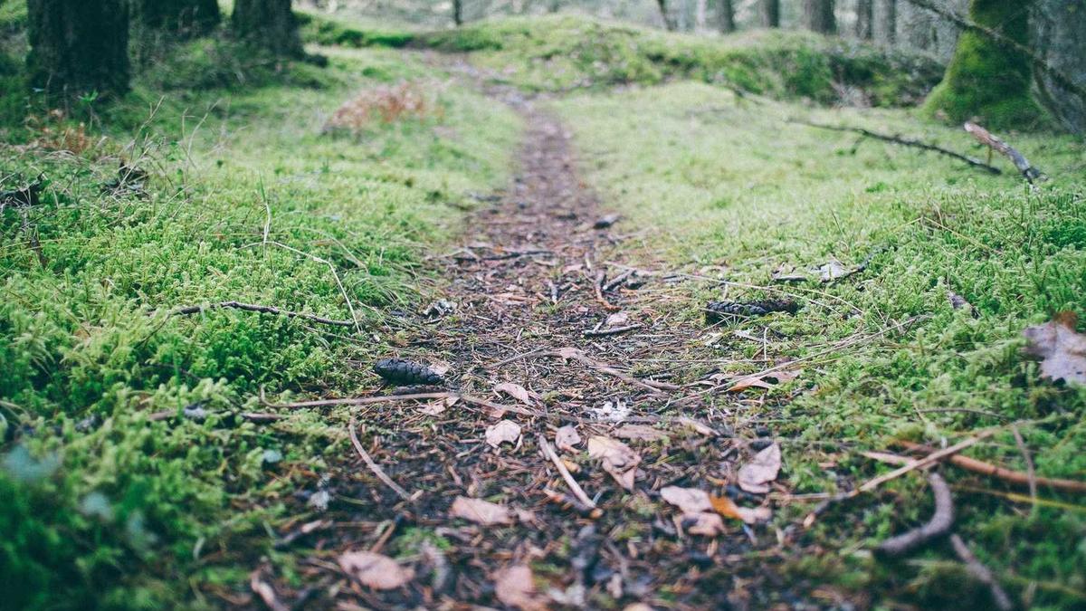 不开业是死,开业也是死,实体店陷入两难境地