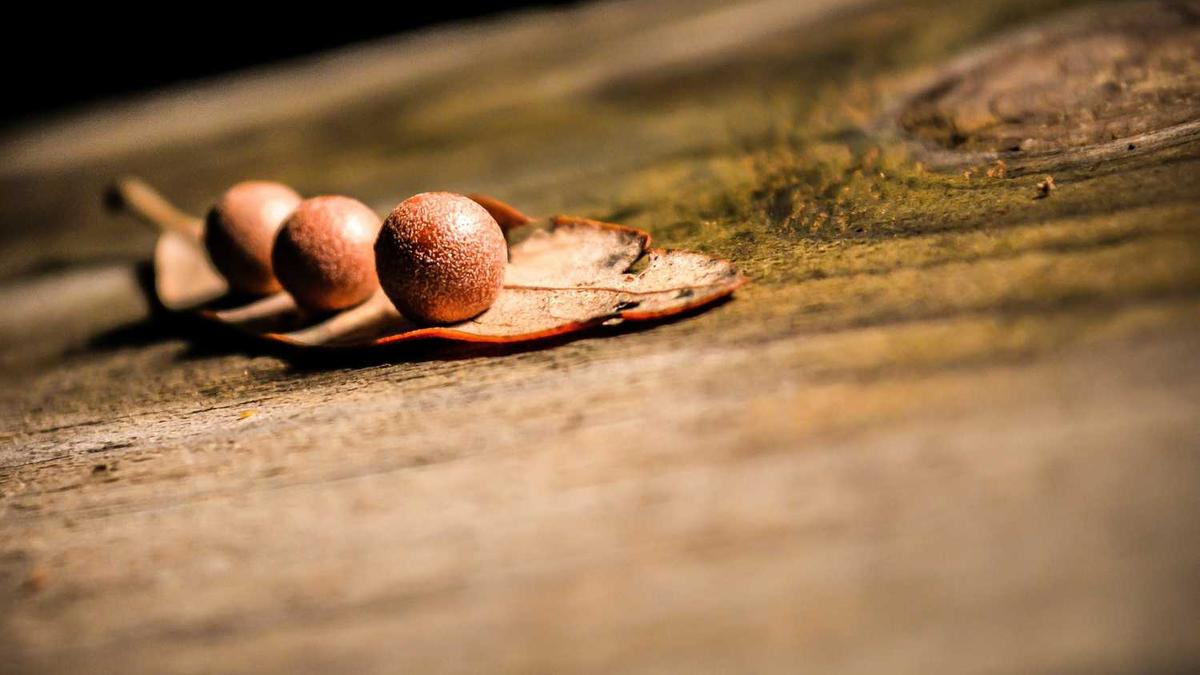 清远漂流一日游有攻略么