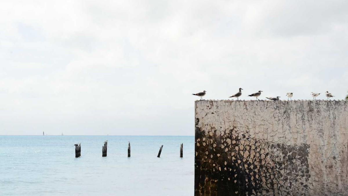聊城市卫生职工中等专业学校简介