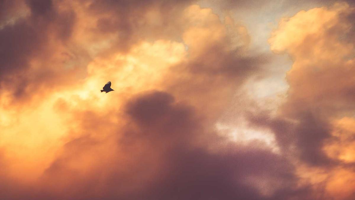 大同东王庄机场发展历程