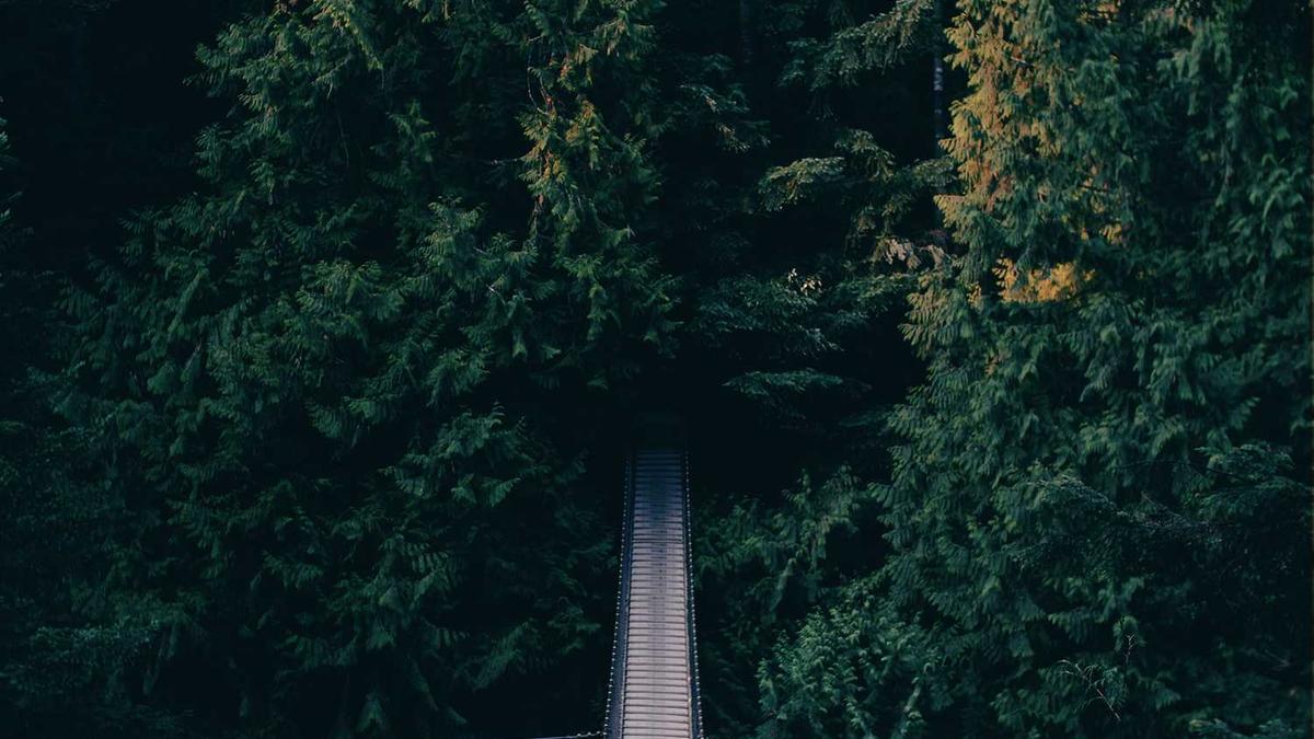 全国电话区号有哪些?