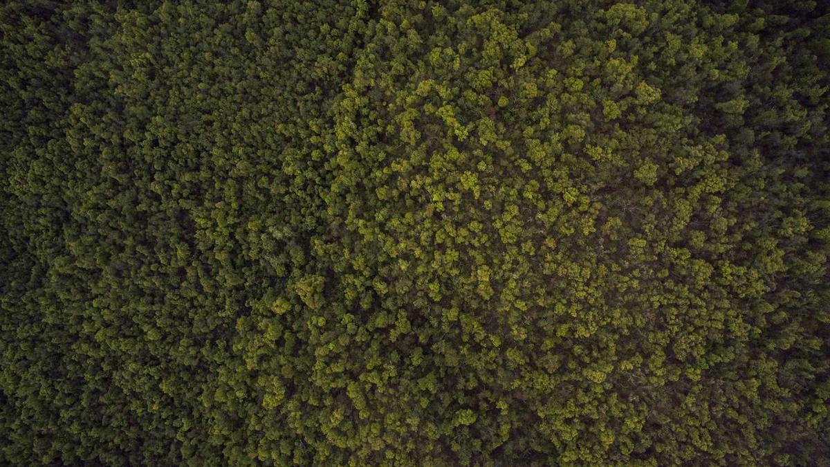 26年考研预报名是什么时候