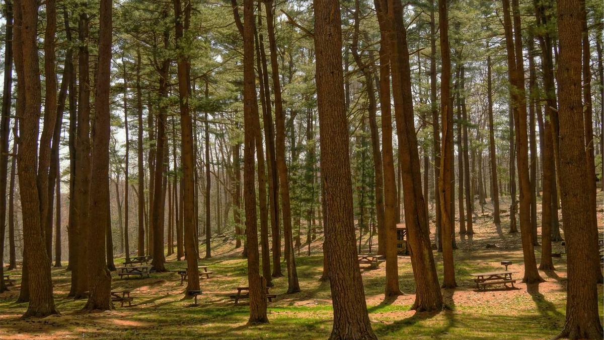 湘潭90后副局长