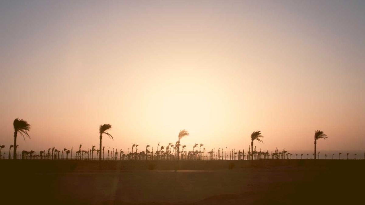 100万起投的信托产品有哪些?