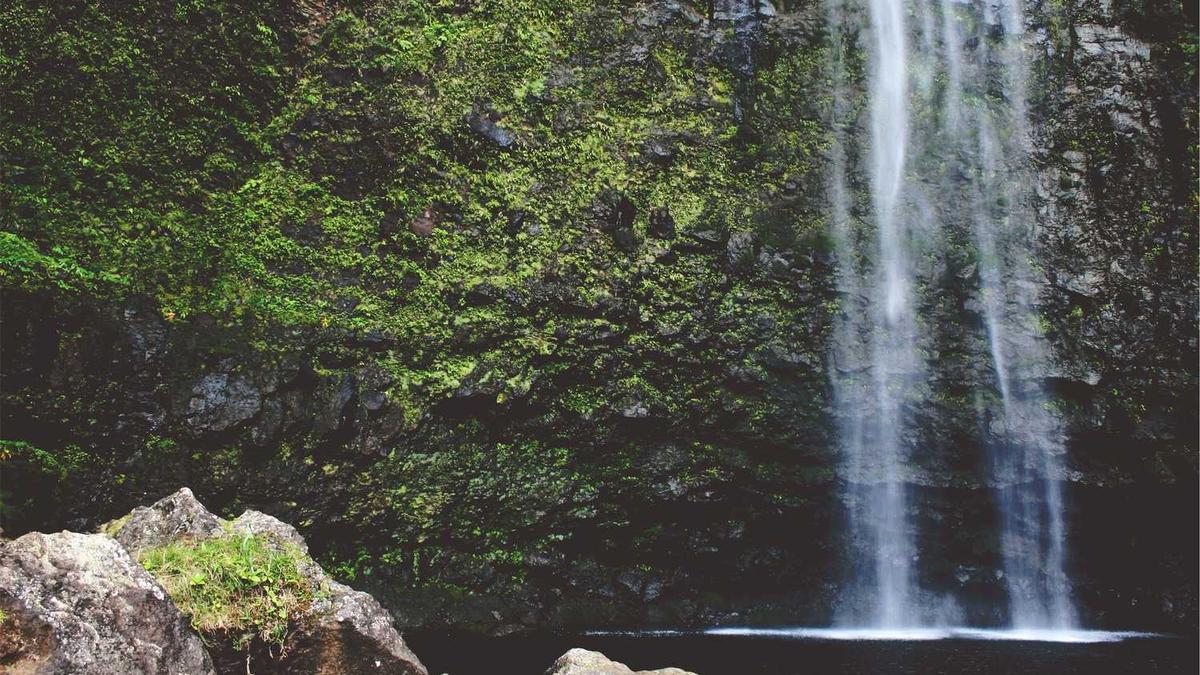 中数汇财app是什么