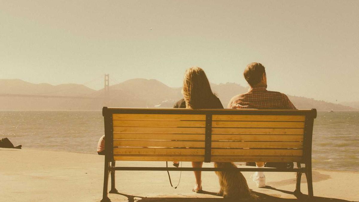 海珠湿地公园简介概况