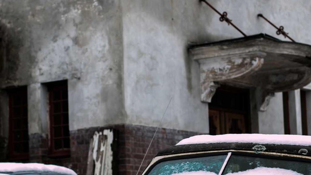 去常德动物园的攻略是什么