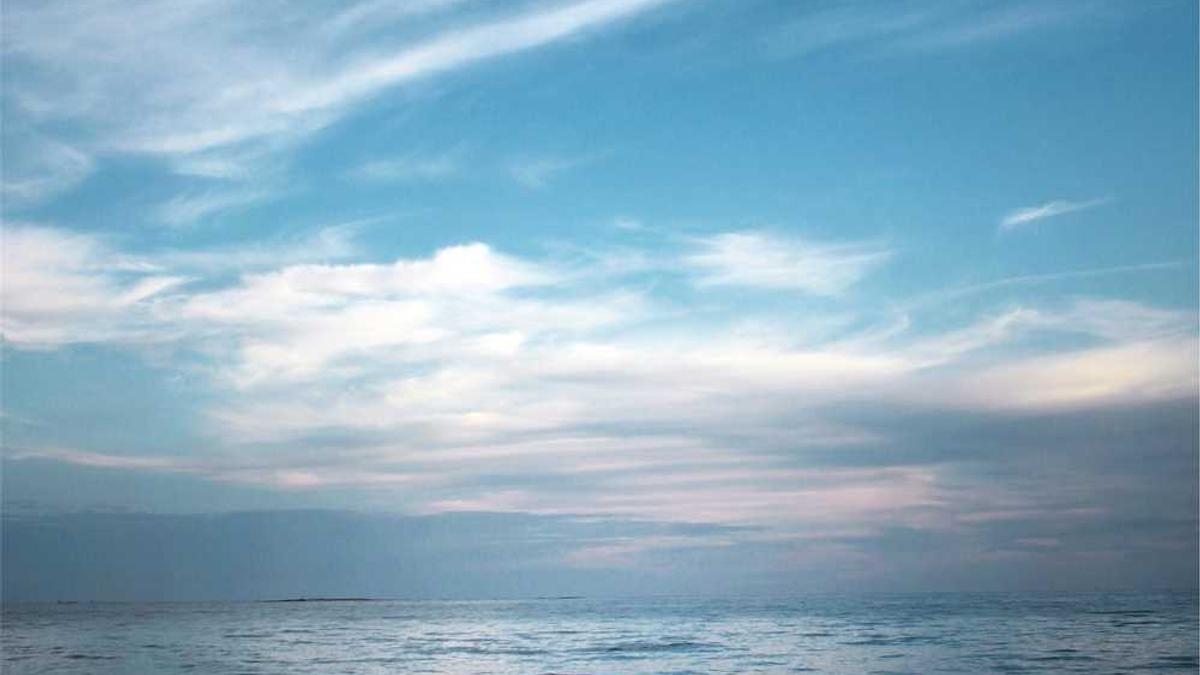 新余钢铁集团有限公司碳审计组织结构