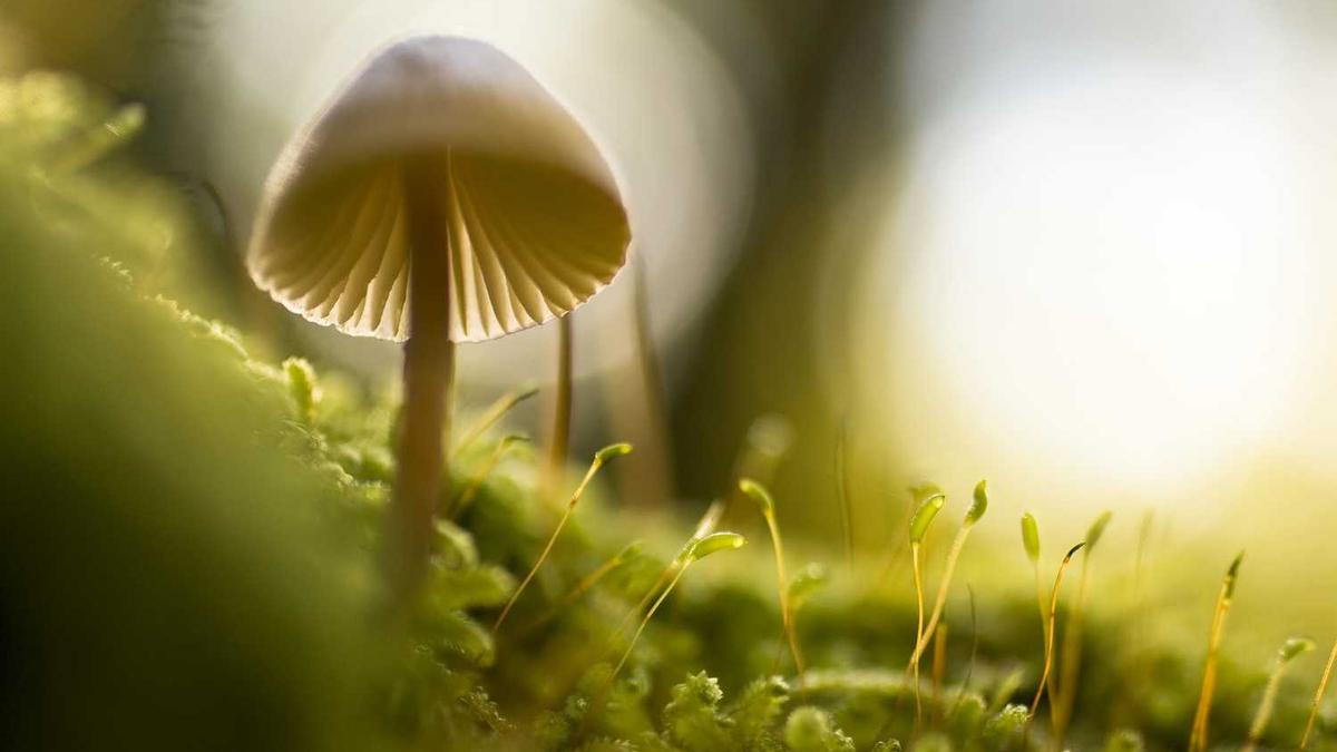 襄阳43中学在哪里