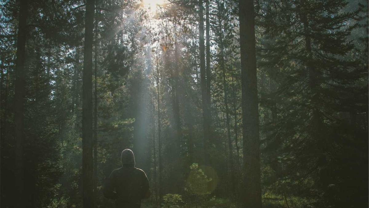 滨州市无棣县地图