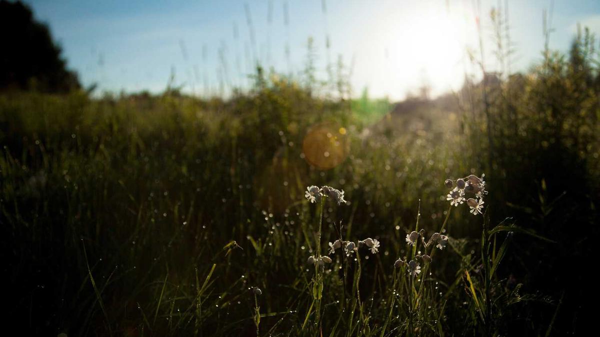 湘潭市三中和市十七中那个好
