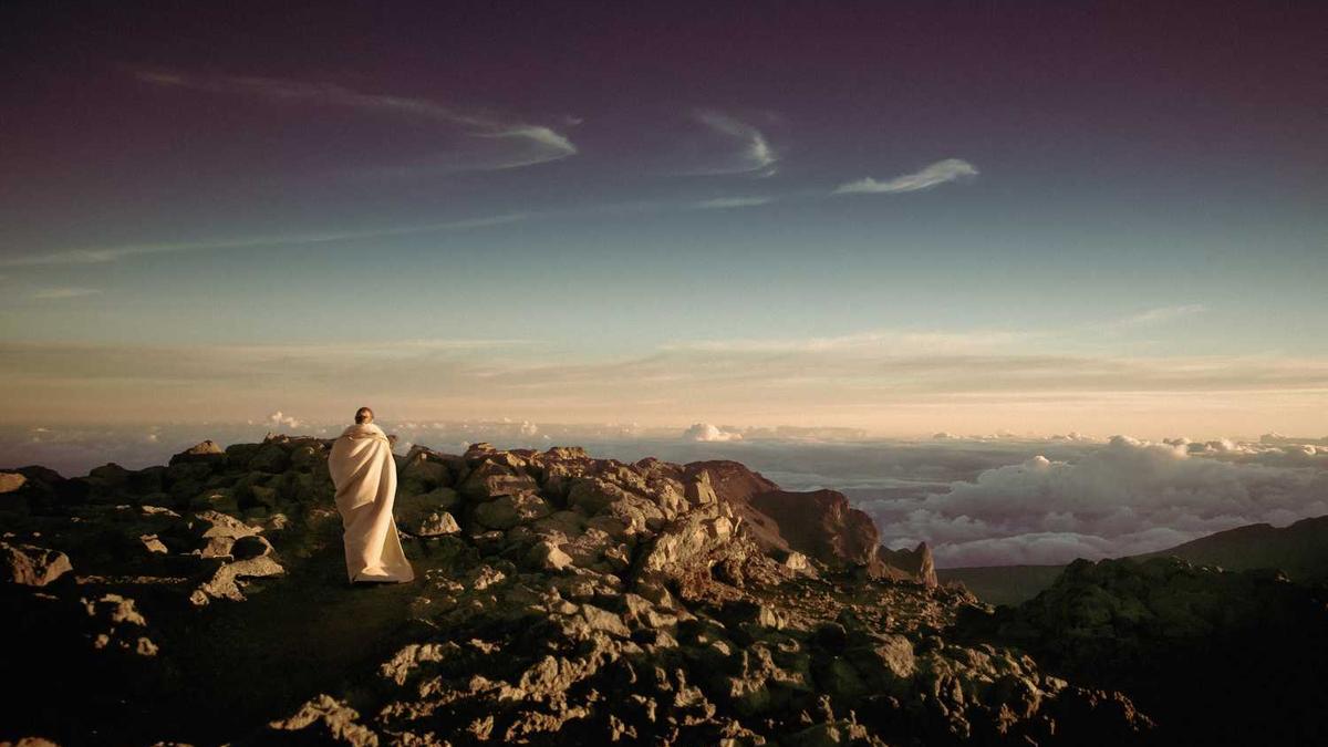 青春之城第七季演唱会在哪里看