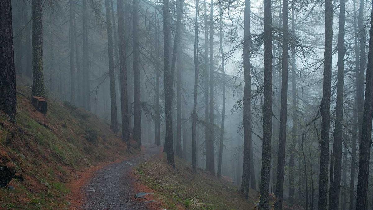 四川南部县相距达州市多少公里