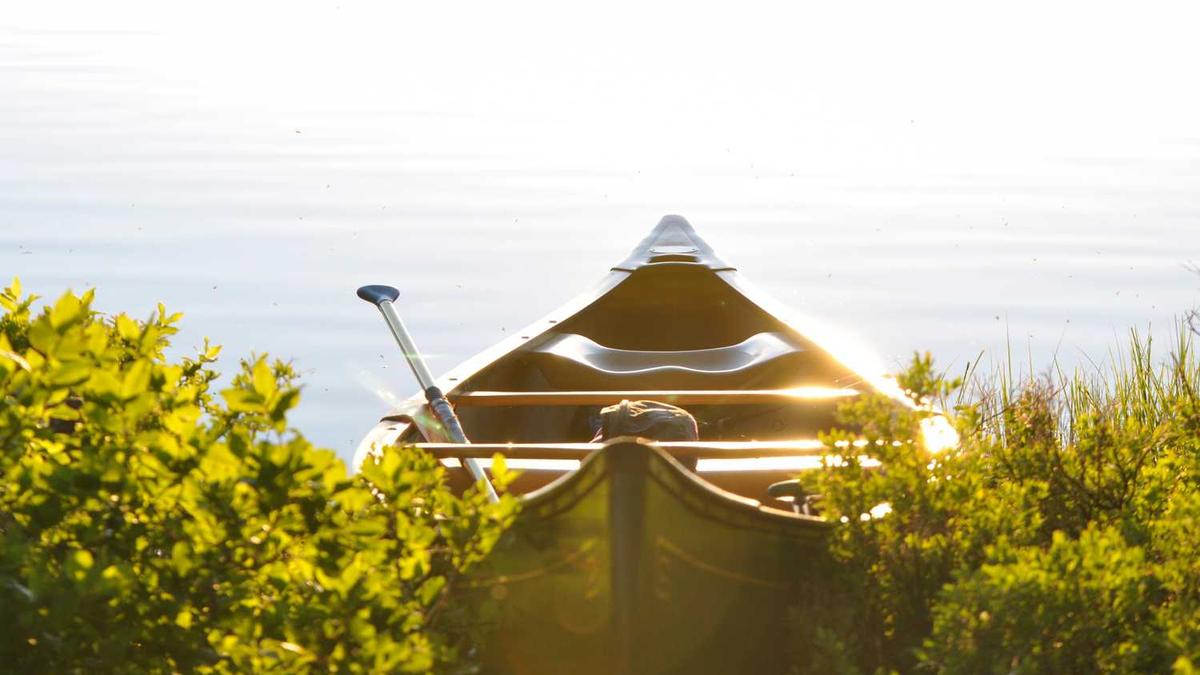 河池天气40天,河池天气40天预报一个