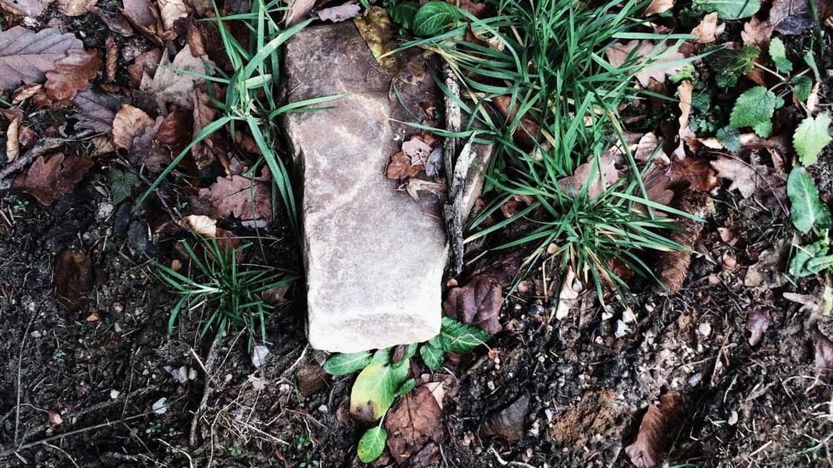 CEO程维、总裁柳青亲自上阵:滴滴国庆期间召开用户专家恳谈会