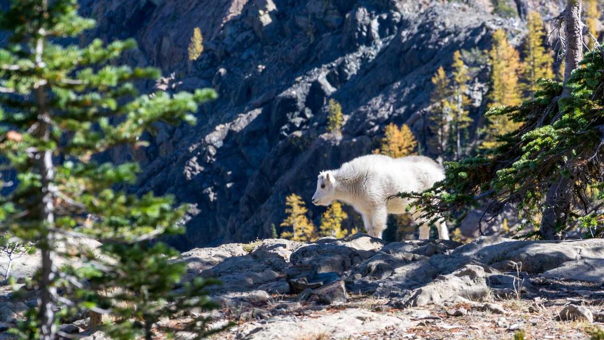 如何预防风暴潮危害