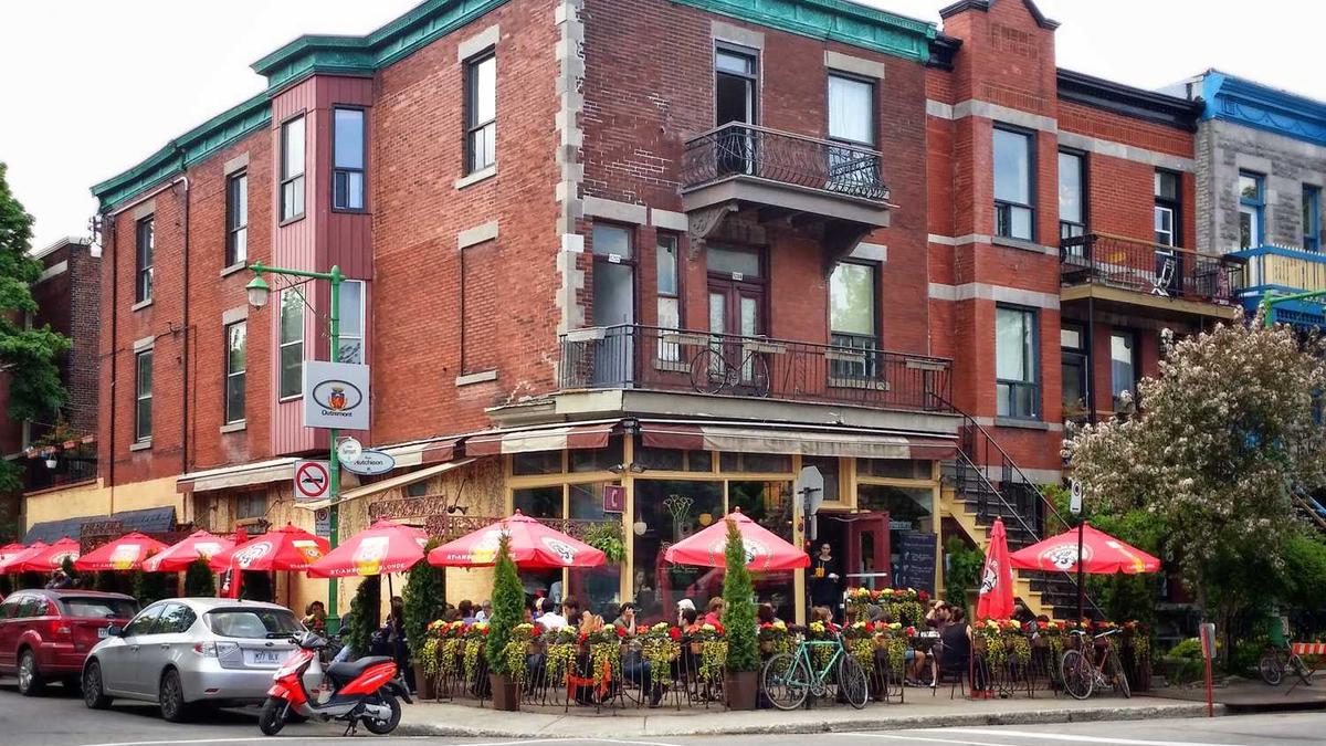 五年级说明性作文 急要