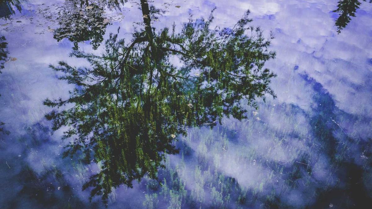 潍坊高新区好玩的地方,潍坊旅游打卡地方推荐