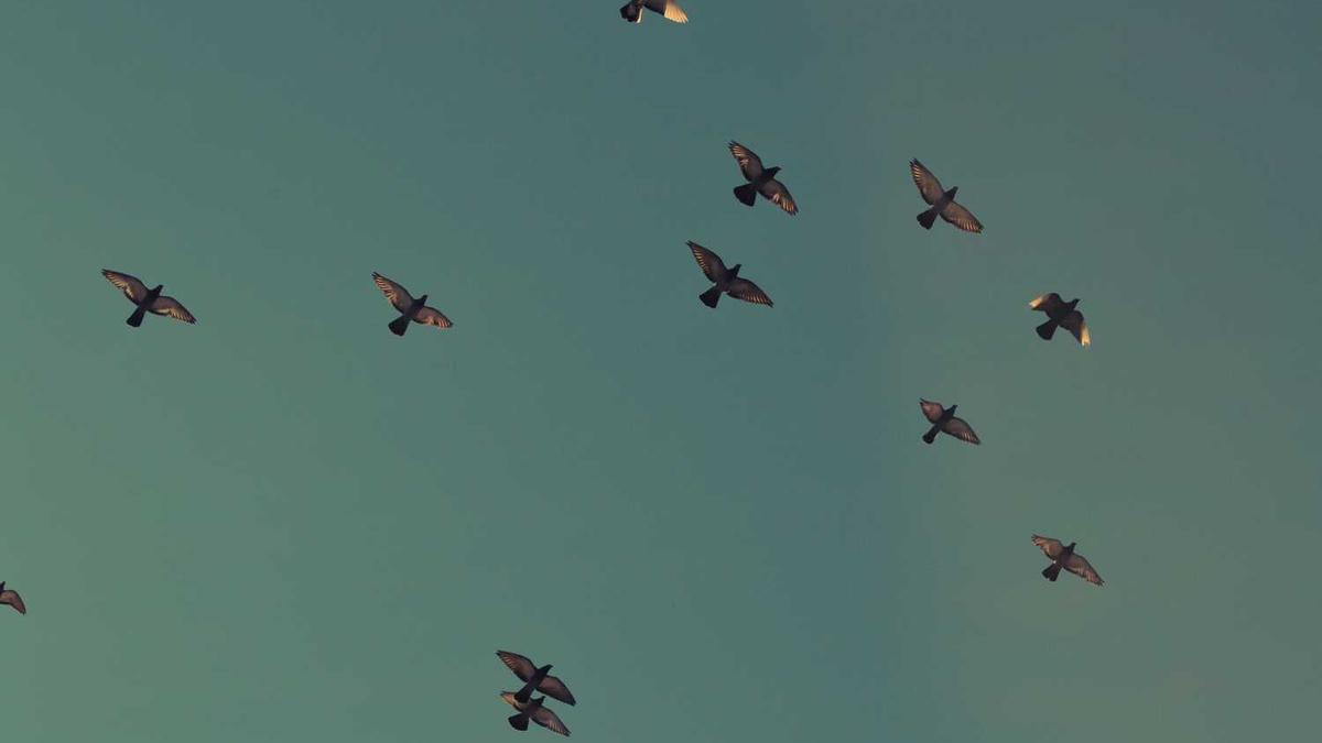 小店区四馆五中心的定义是什么