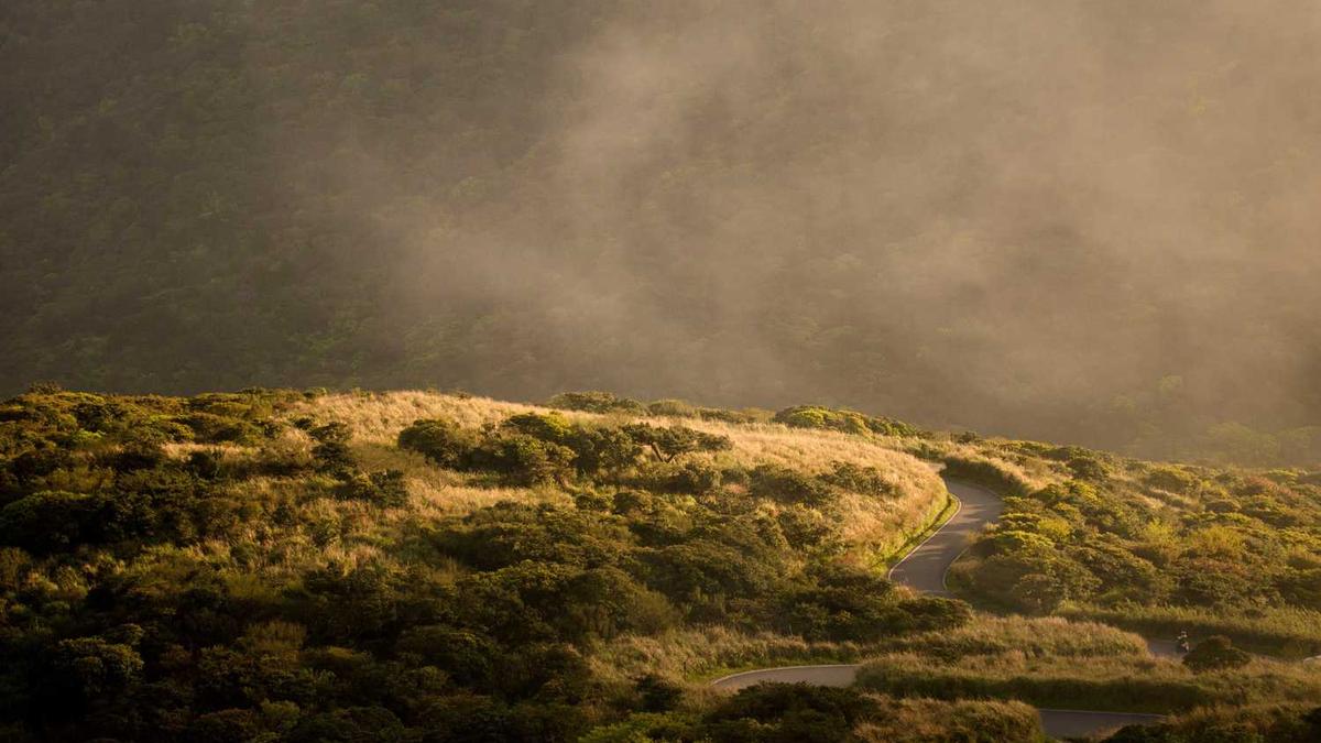 聊城市的概况简介
