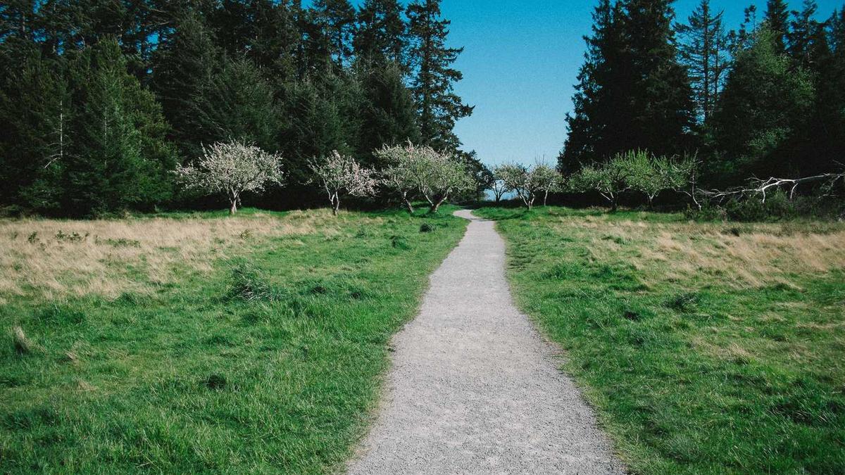 想知道:阜阳市 阜阳东三环 在哪?