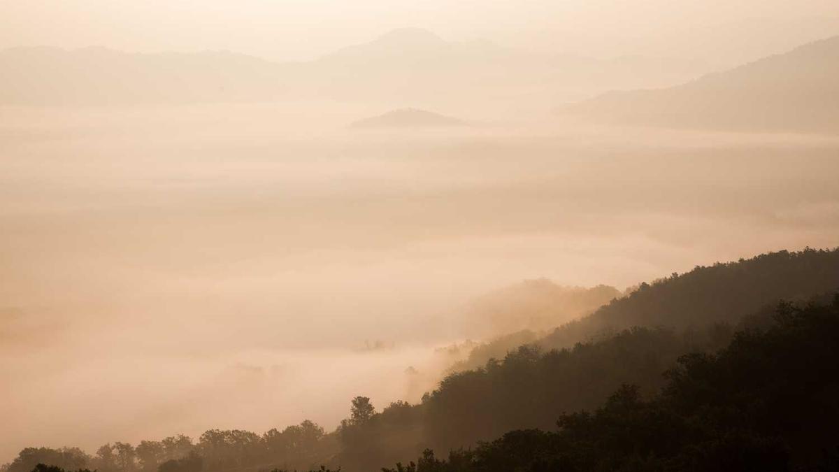 景宁畲族自治县人民法院安保服务采购项目
