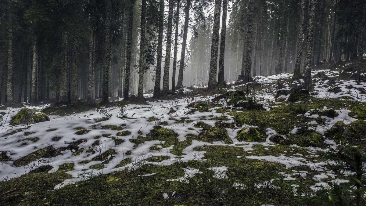 校园社团活动策划书7篇