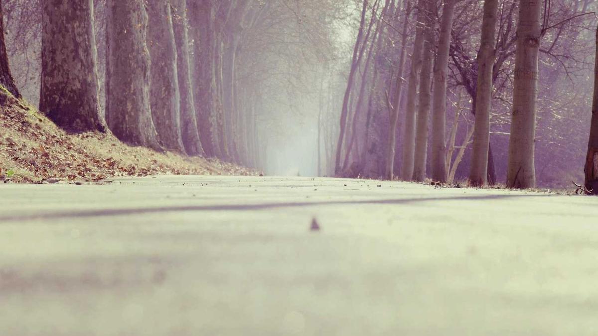 1%人口抽样调查个人信息会保存多久