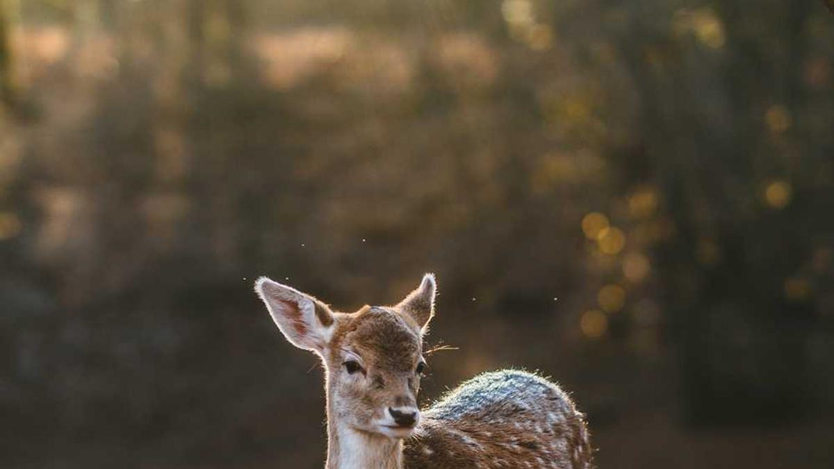 今明后三天该怎么选择合适的衣物穿着?