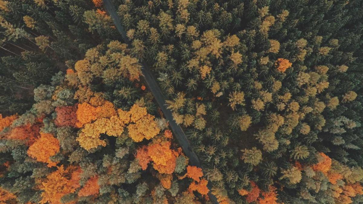 为什么吉林省从省会变成了长春呢??