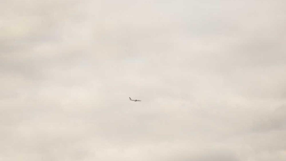 内蒙古自治区人民政府的盟市政府