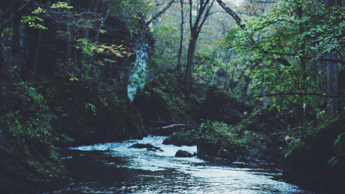 李贻伟主要简历