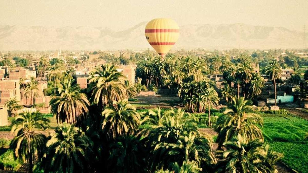 宋喆坐牢两年近况不佳,前妻杨慧疑似有喜事传来,杨慧现在情况如何?_百度...