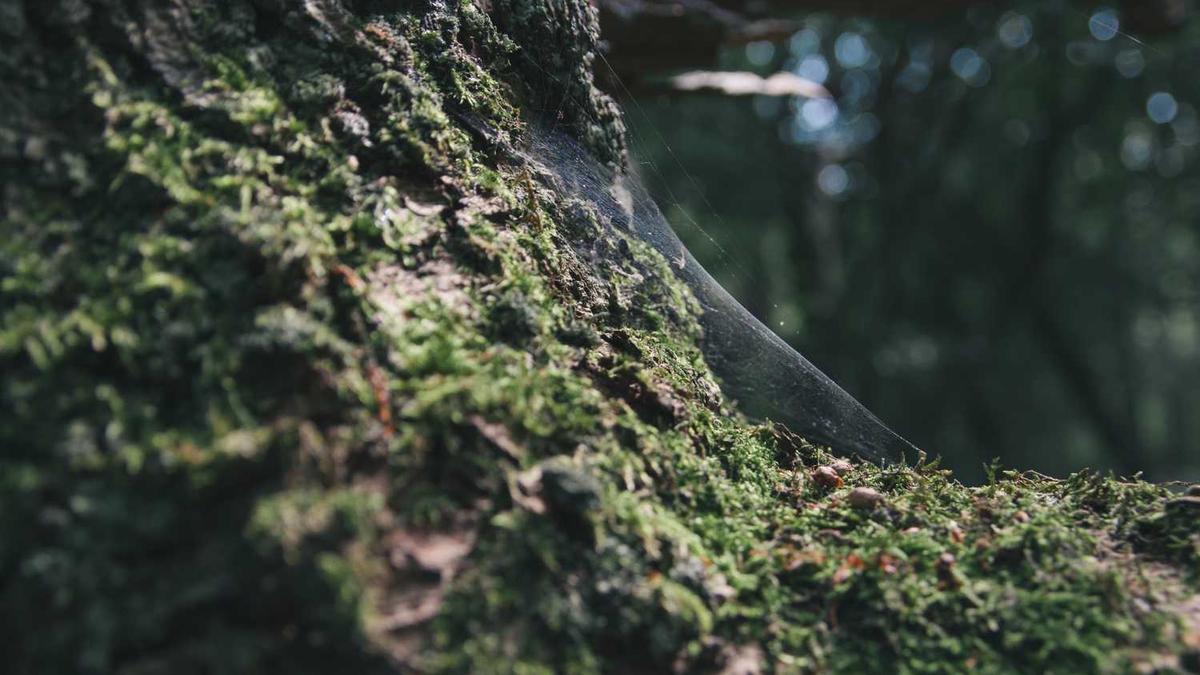 邵阳市有哪几个区县