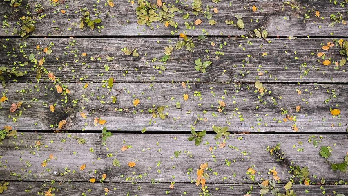 如何看出婚后女人过得好不好,看哪几个地方就知道?