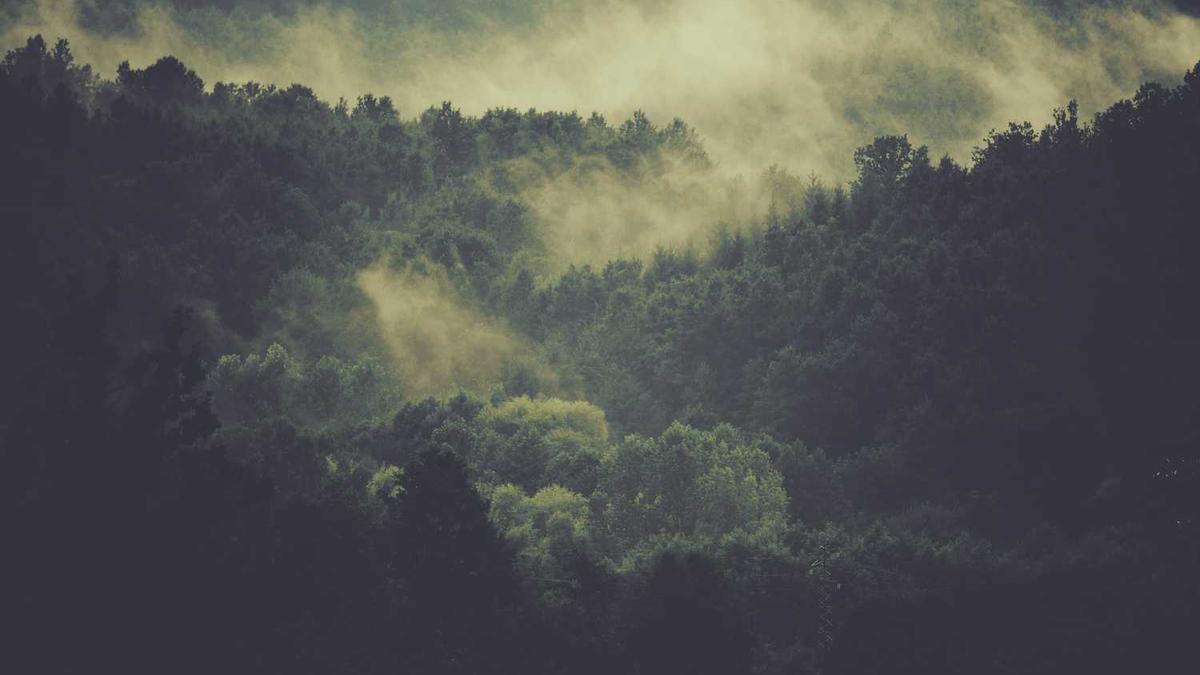 遵义会议的意义