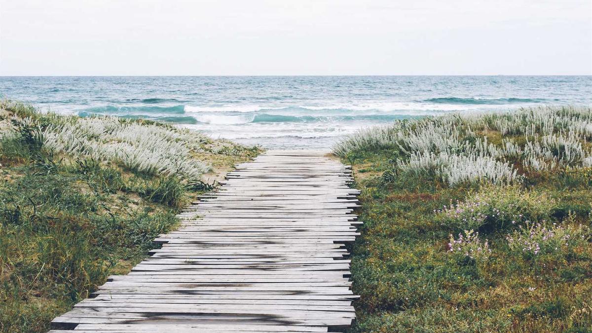 株洲市有哪些地区