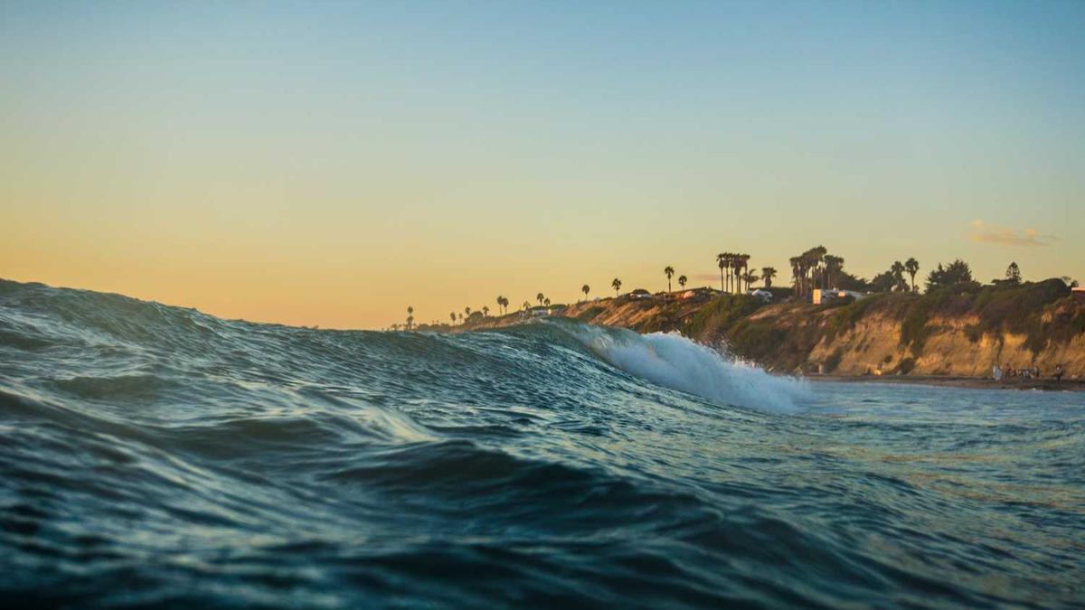 为什么现在这么热