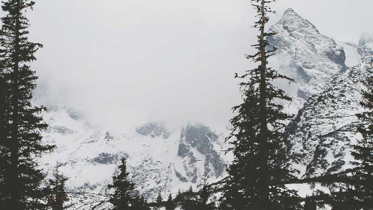 量质协同并进,四个关键词解读苏州银行迎风破局之路