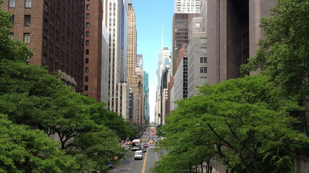 焦作有几个市县区